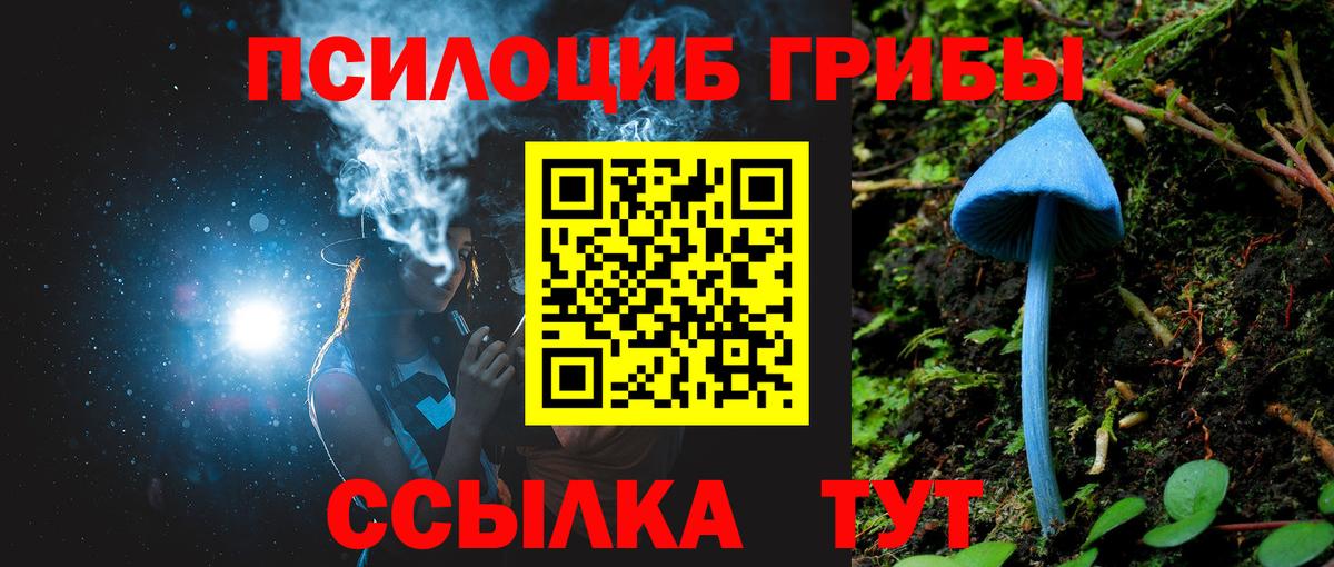 Псилоцибиновые грибы GOLDEN TEACHER Чусовой