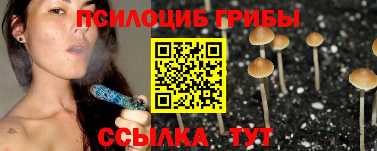 Чусовой  Псилоцибиновые грибы мухоморы  Вход с VPN 