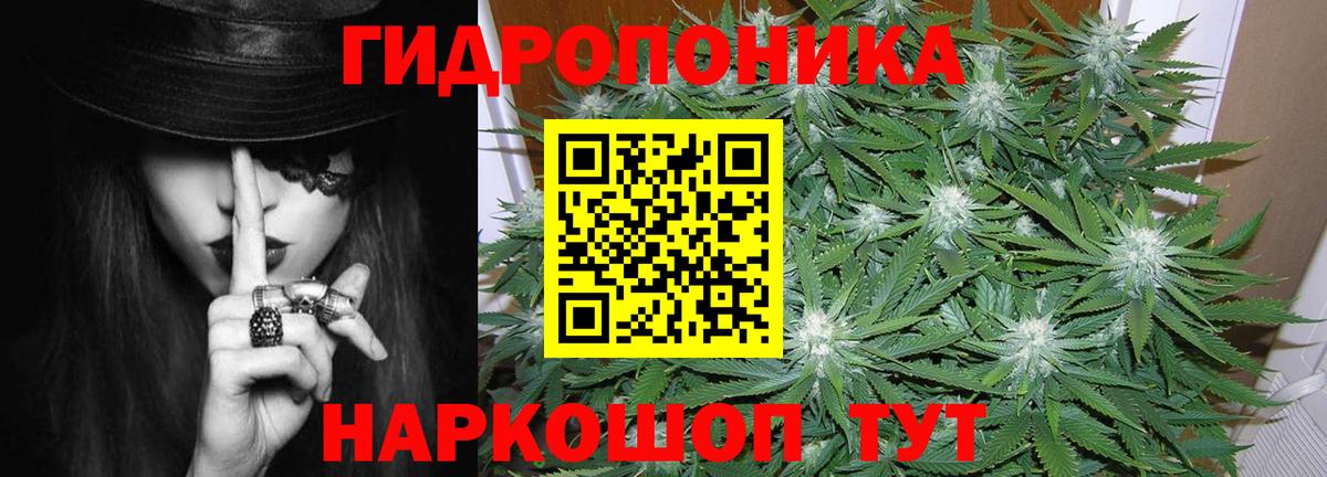 Бошки Шишки марихуана Чусовой